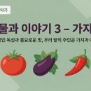 강심된장 | 안병덕의 작물이야기 3 - 가지과 이야기, 치명적인 독성과 매혹적인 맛