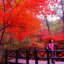 계산관광지 이미지