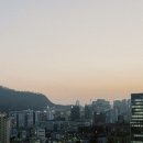 16대 공인중개사사무소 이미지
