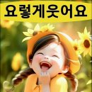 세장경로당 Daum카페