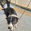 선산대로 이미지