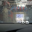 오토칼라세차 이미지