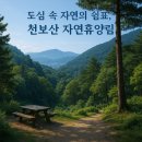 품에 고모리A | 천보산 자연휴양림｜도심 가까운 힐링 명소
