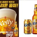 유한회사리더건설
