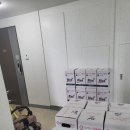 [대전/충청] 요소수 언제 어디든 당일 배달 서비스