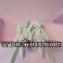 빛이날개 이미지