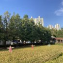 양평체육공원길 이미지