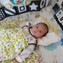 엘림카시트 이미지