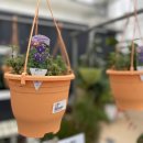 헬로우마켓 이미지