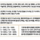힐링펫