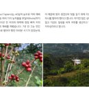 디코드커피 이미지