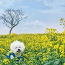 신화축산 이미지