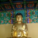 신영산 | 서울...개운사 목조아미타좌상