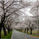 보령-주산-1 이미지