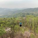 영인산자연휴양림 숲속야영장 이미지