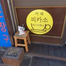 피카소에스프레소