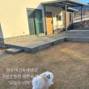 울산근교 경주애견펜션 독채 오늘도너와 개별마당까지 방셋 후기 추천하는숙소 내돈내산