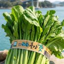 돌산갓밥상 이미지