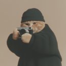 강남셀프 | 협찬 | 셀프 사진관 오디티모드 강남점 후기