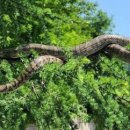 거대공인중개사사무소 이미지