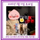 하단 아트몰링 CGV에서 아이랑 영화 라이온킹 관람한 후기
