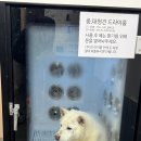 개목욕탕 이미지