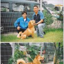 챔피언 애견농장 이미지