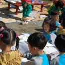 서촌초교 병설유치원 이미지