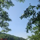 신비의물약더미르 | 진천 미르309 출렁다리 가는 길 및 운영시간 꿀팁 (진천 당일치기 여행 코스)
