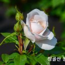 교회(敎會) 용어(用語) 이미지