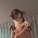 아름누리약국 티스토리