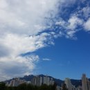 장암프라자 약국 이미지