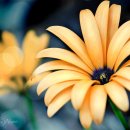 클릭전원미술학원 이미지