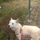 채니농장 이미지