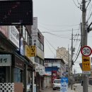 용정고기사랑 | 진건 카페) 귀여운 소품 가득한 &#39;수달 카페&#39; 후기