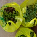 봉희농장 이미지