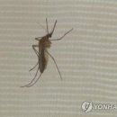 빨간집 이미지