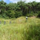 고미마을회관 이미지