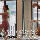 성인발레 중급 이미지