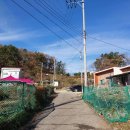 시든물해변 Daum카페