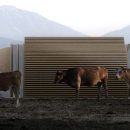 퍼펙트호텔 이미지