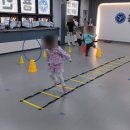 용인대 정도태권도장 이미지