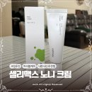 노니 | 노니크림후기 진정보습 크림 추천 셀리맥스 노니 리페어 크림 내돈내산