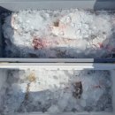 동양낚시 이미지