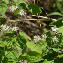 미리내캠프 이미지