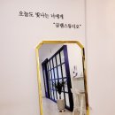 네일드수지