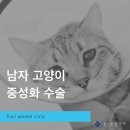 신현동물병원 이미지