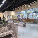 남성사랑방쉼터 | 변화를 꿈꾸는 당신을 위한 최고의 선택: 요즘 제가 푹 빠진 헤어 살롱 이야기