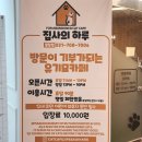 (주)집사의 하루 이미지