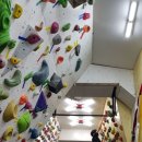 강명중학교 이미지